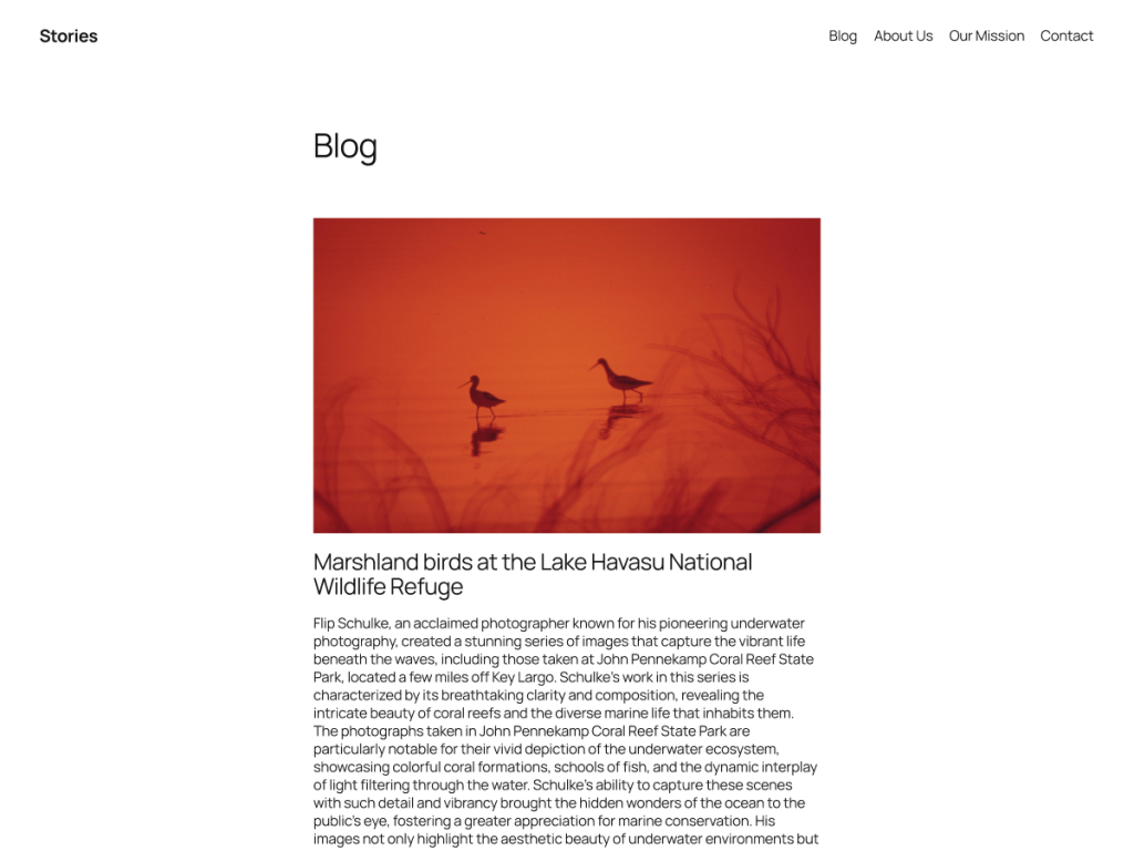 blog website