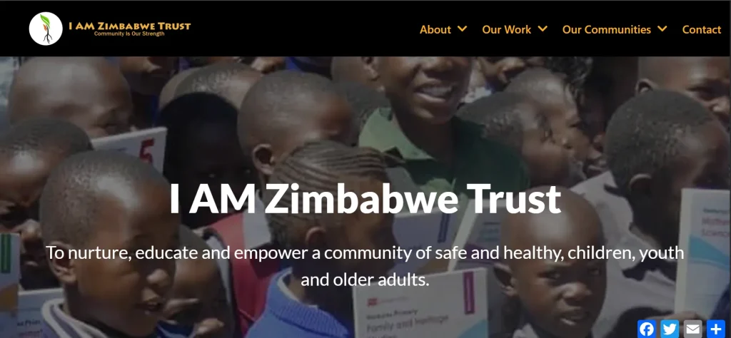 Nonprofit and Charity Websites zimbabwe